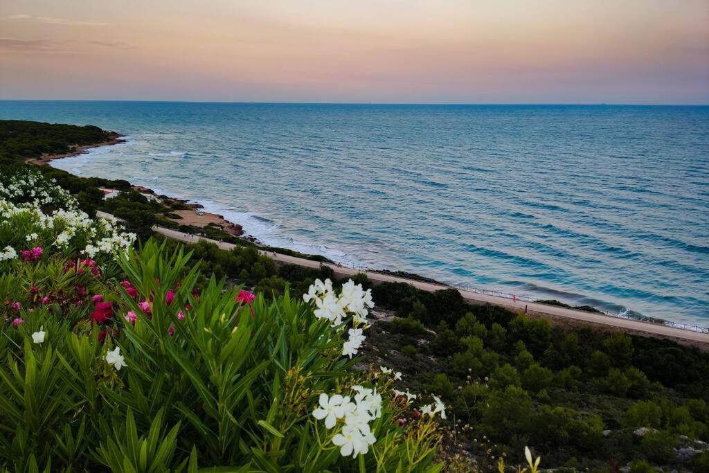 Apartamento Recien Reformado En Primera Linea Con Vistas A La Playa De La Almadraba Benicàssim Εξωτερικό φωτογραφία